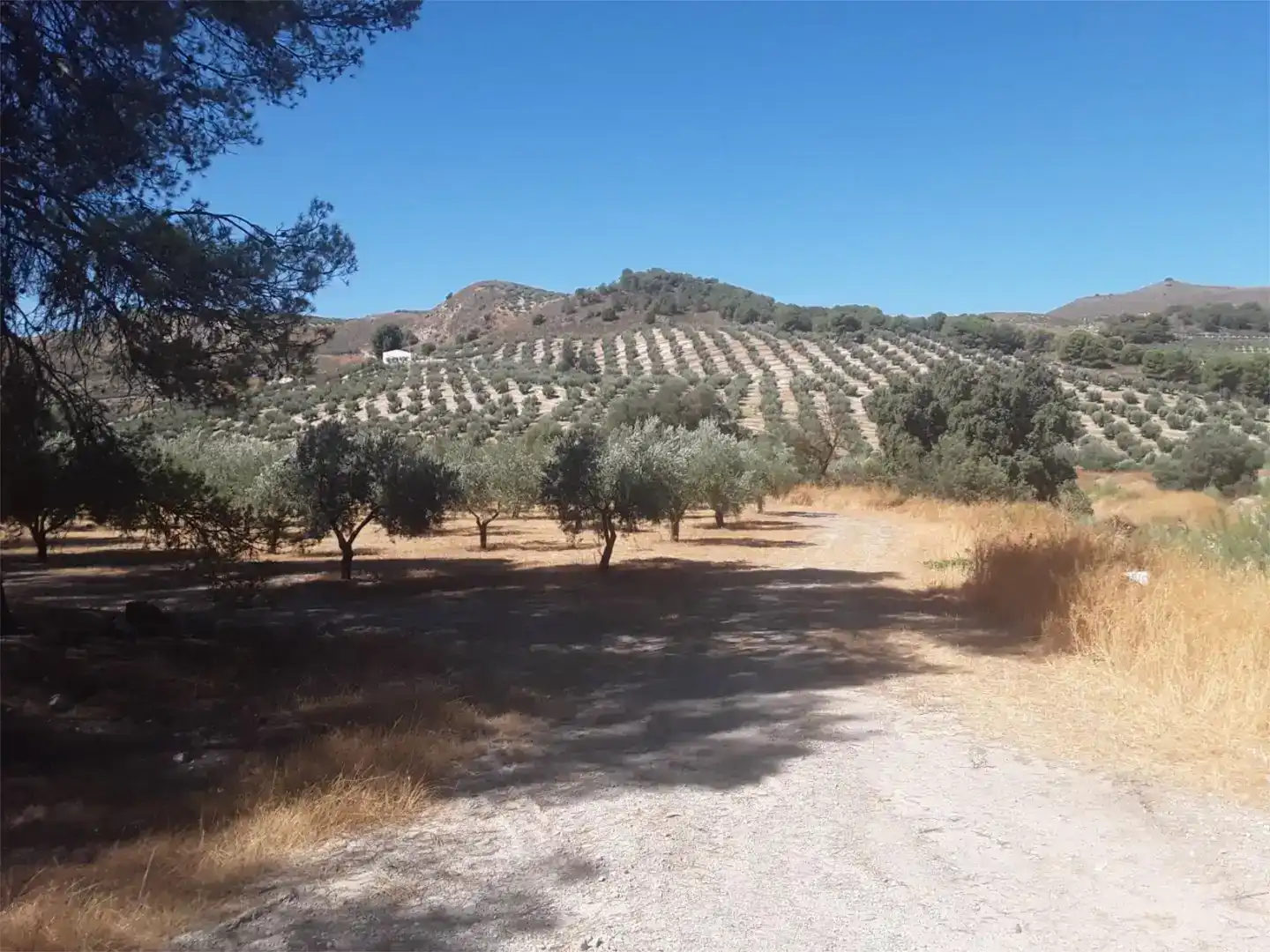 Planta baixa en venda en Cacín amb Aire condicionat i Moblat
