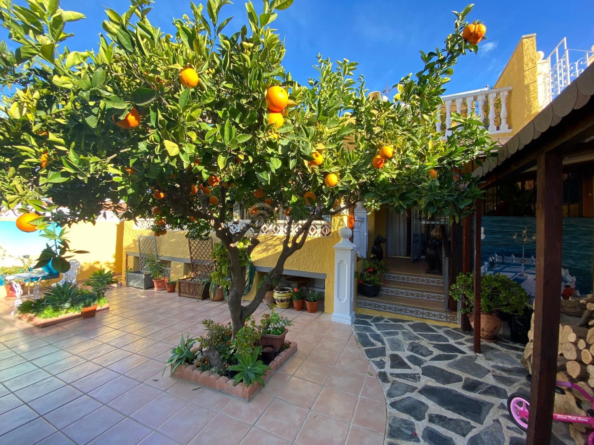 Jardí de Casa o xalet en venda en Benidorm amb Jardí privat, Terrassa i Traster