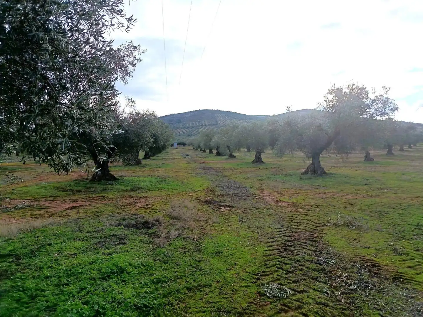 Terreni e lotti in vendita a Los Navalucillos, imagen 23