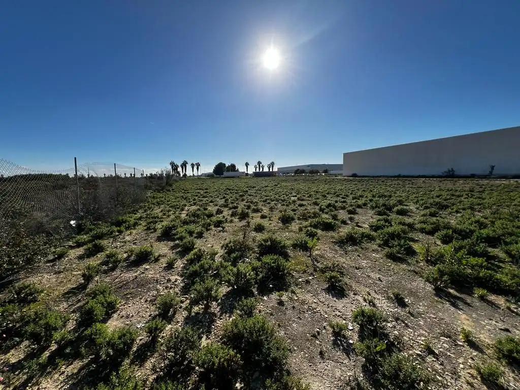 Rural land for sale in El Juncal - Vallealto, imagen 2