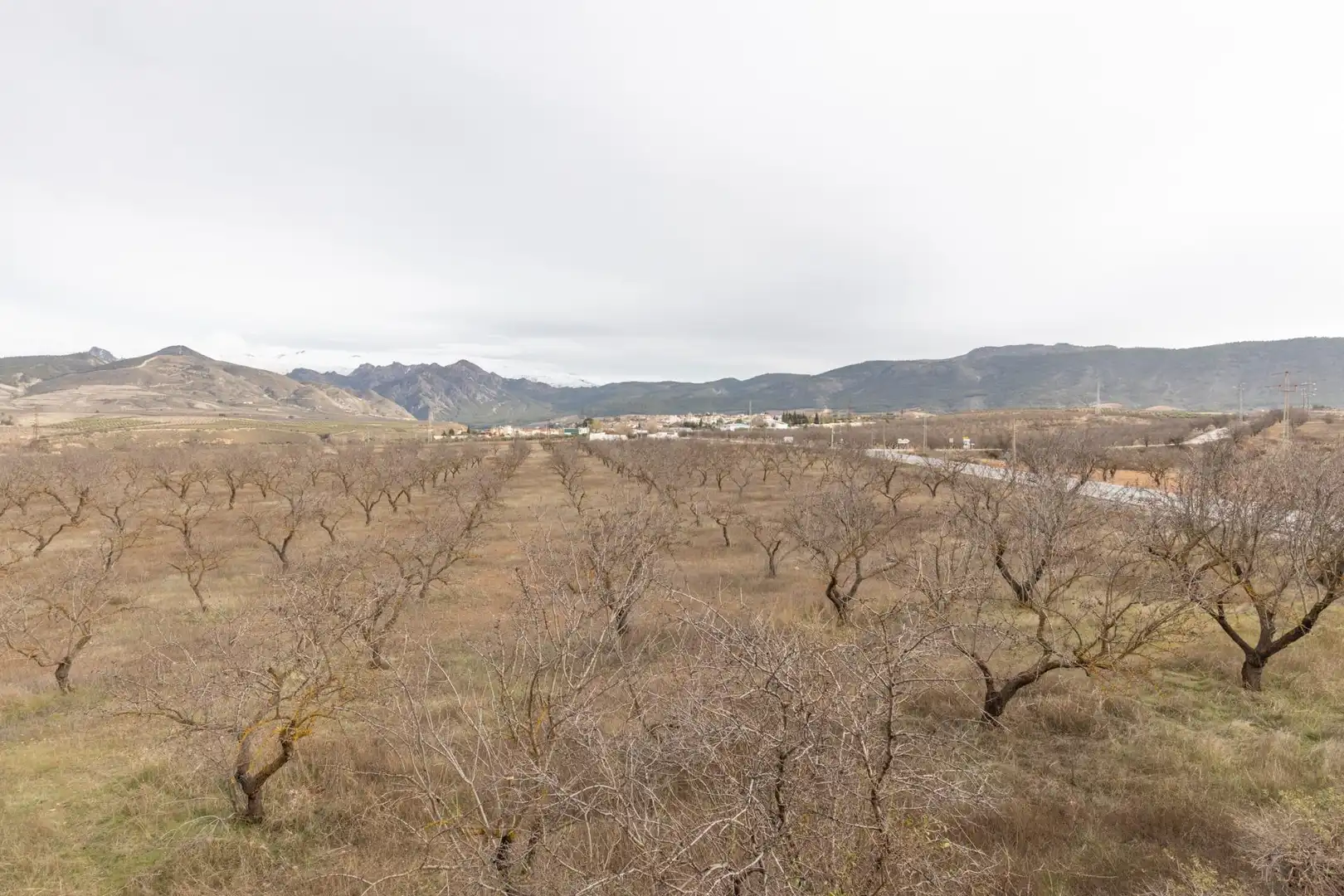 Casa o xalet en venda a Dílar