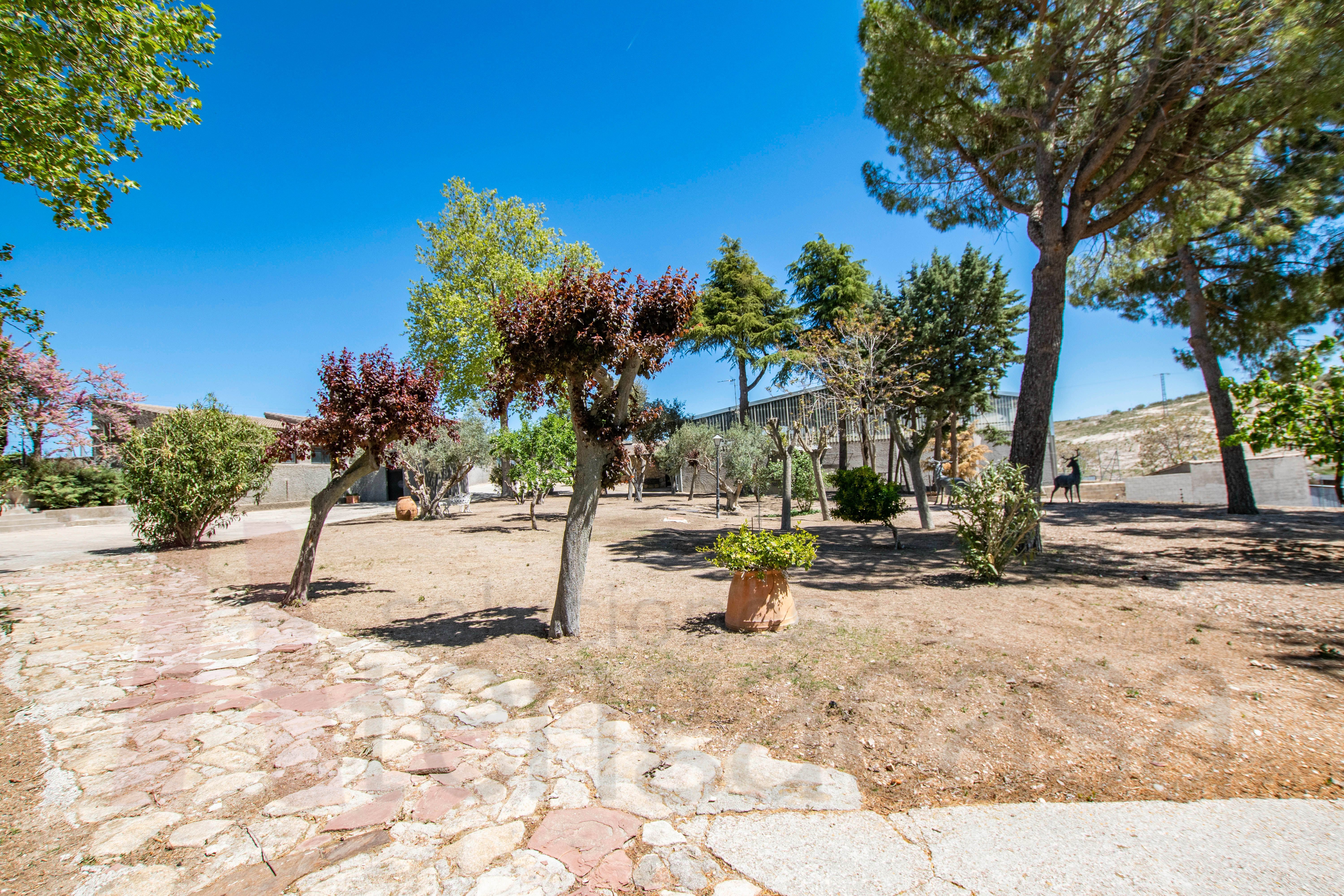 Garden of Residential for sale in Driebes