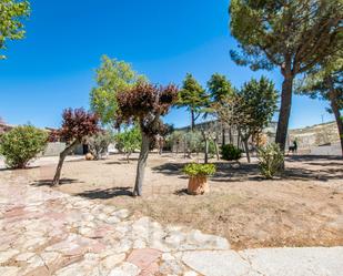 Garden of Residential for sale in Driebes