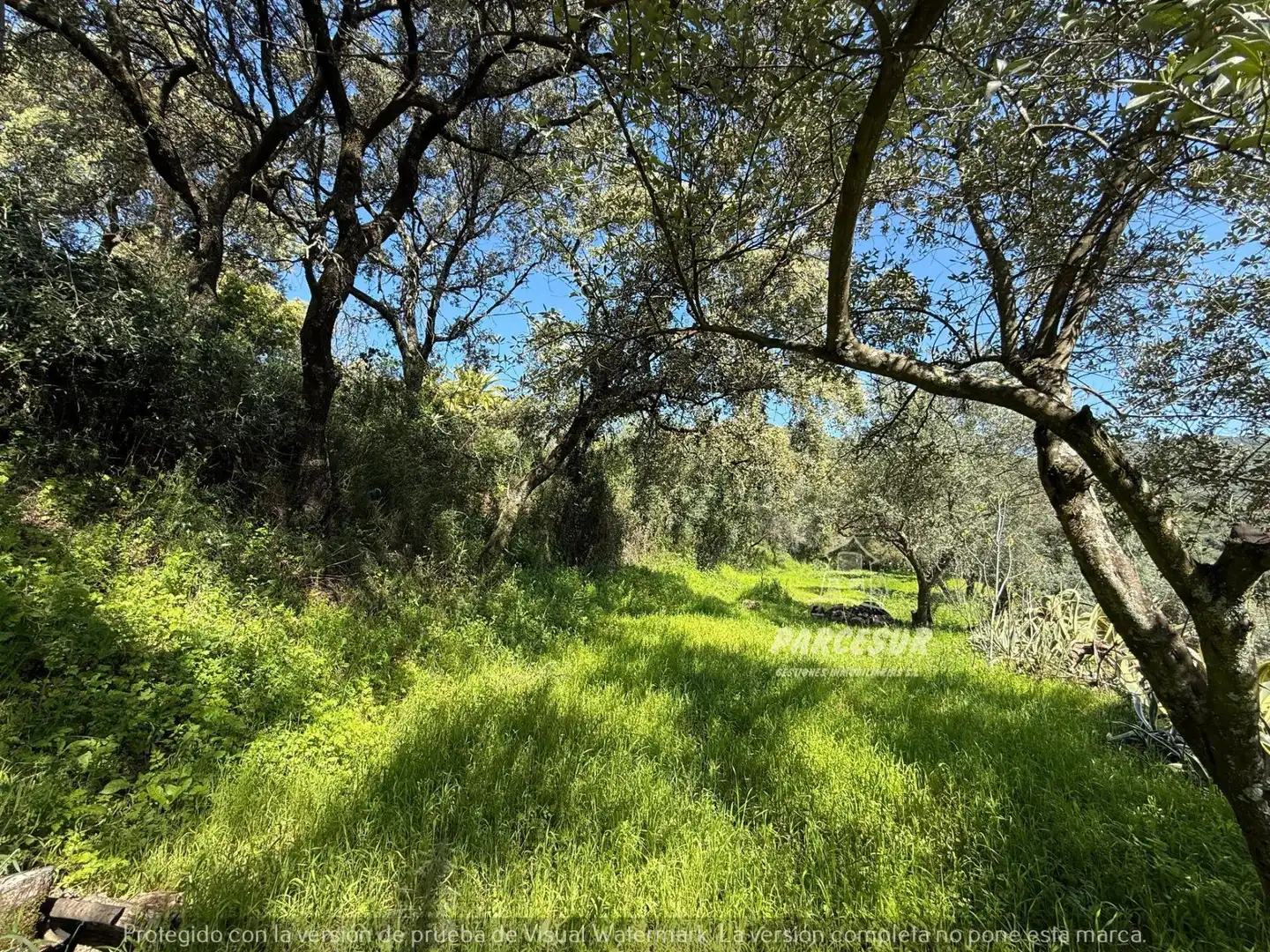 Finca rústica en venda en Córdoba amb Jardí privat i Traster