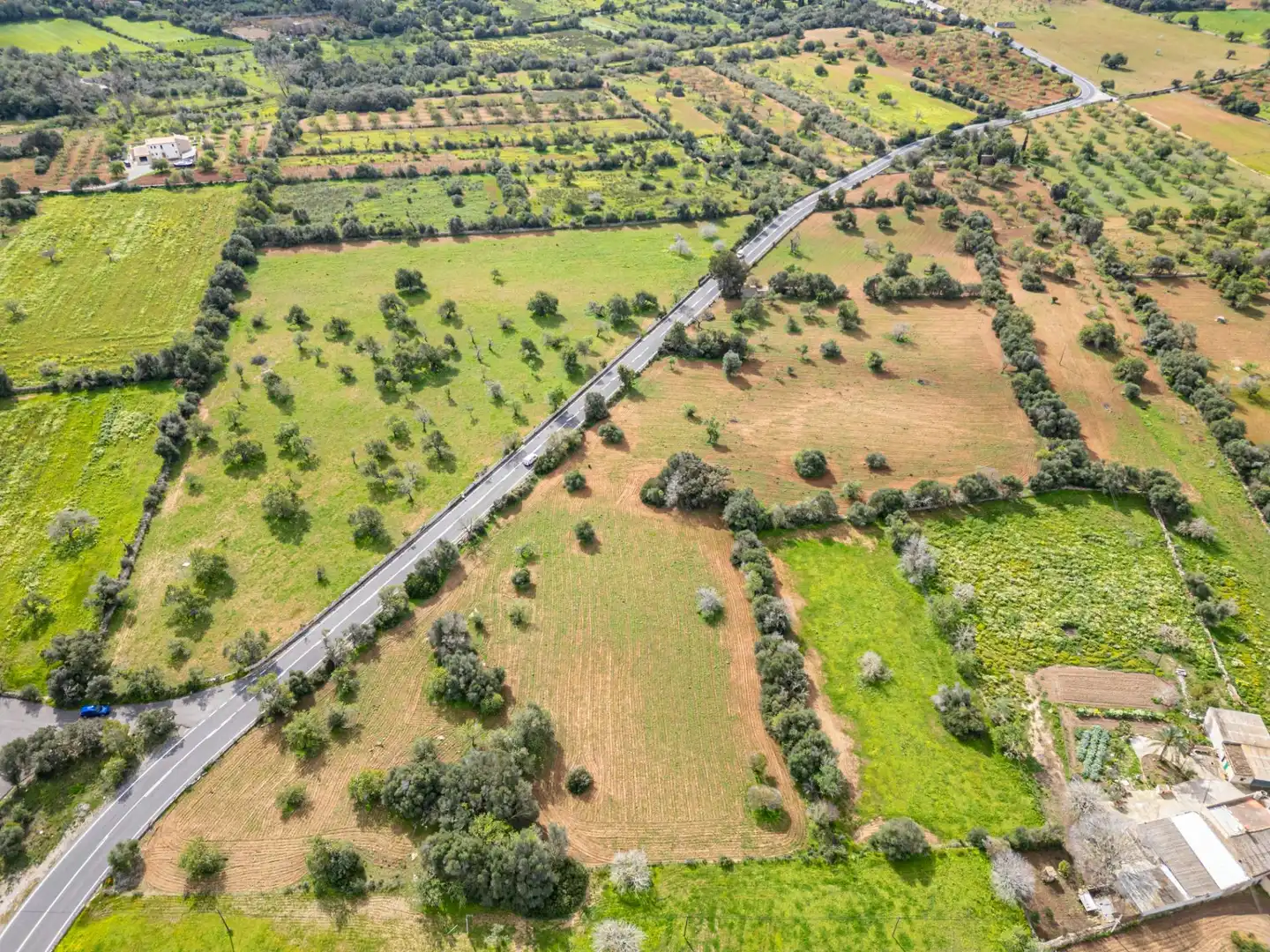 Rural land for sale in Felanitx Poble, imagen 29