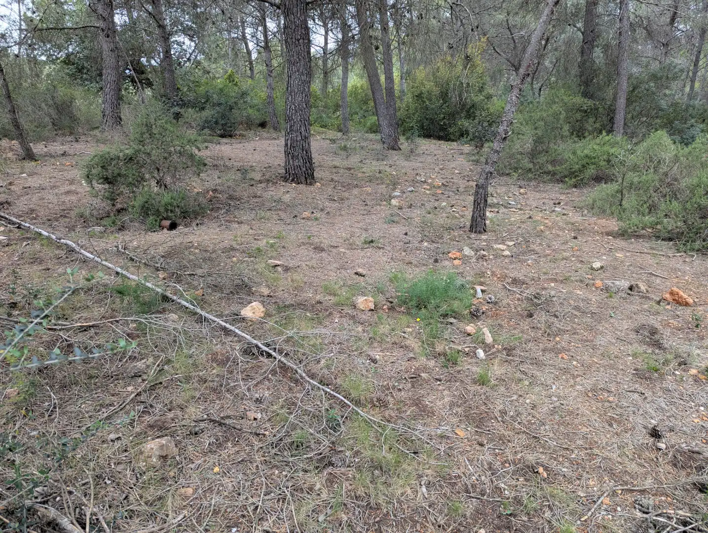 Terreno rustico in vendita a Camino 2 39, imagen 6
