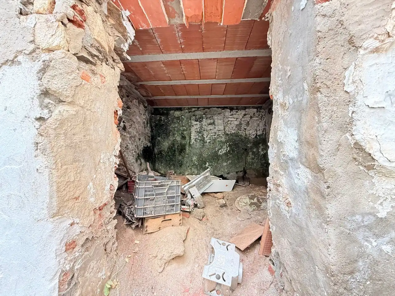Finca rústica en venta en Torrox