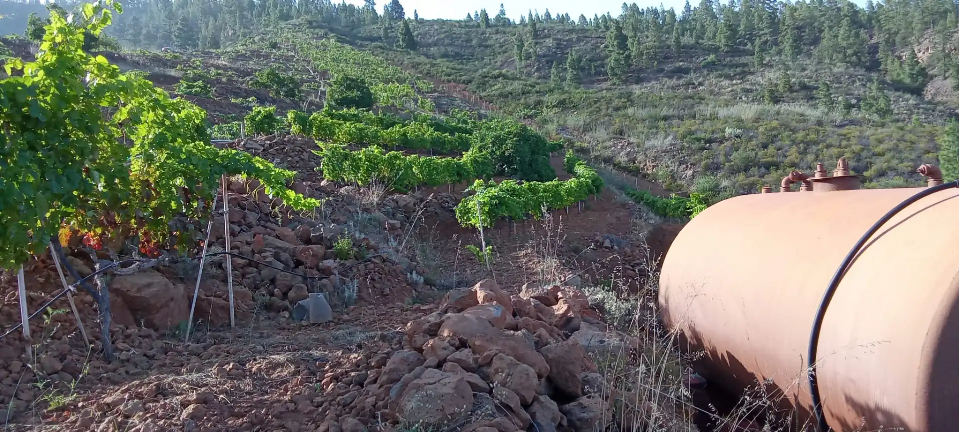 Außenansicht von Grundstücke zum Verkauf in Granadilla de Abona