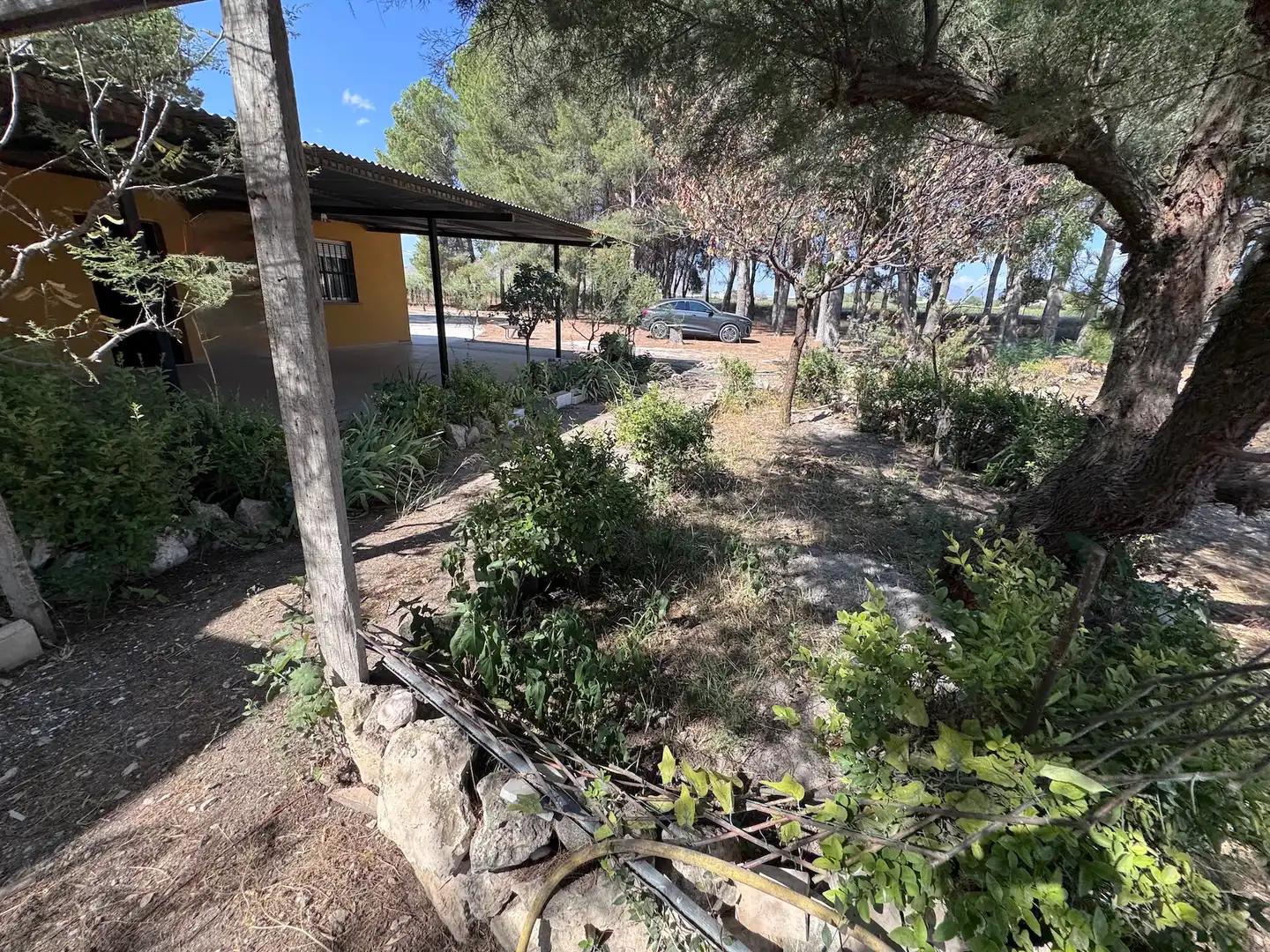 Casa rústica amb jardí en venda a Las Tiesas, imagen 28