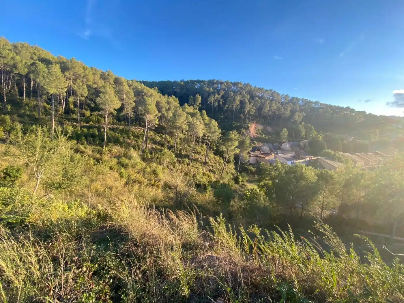 Terreny residencial en venda a Vallirana, imagen 12