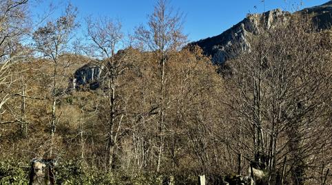 Foto 4 de Casa o xalet en venda a Miera - Miera, Miera, Cantabria