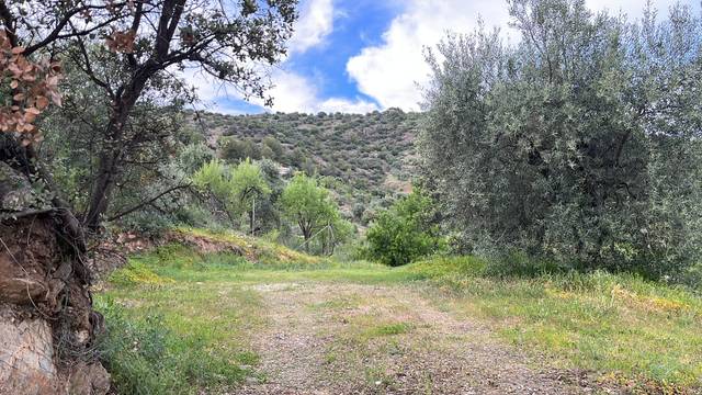 Terreno en Venta en Monda