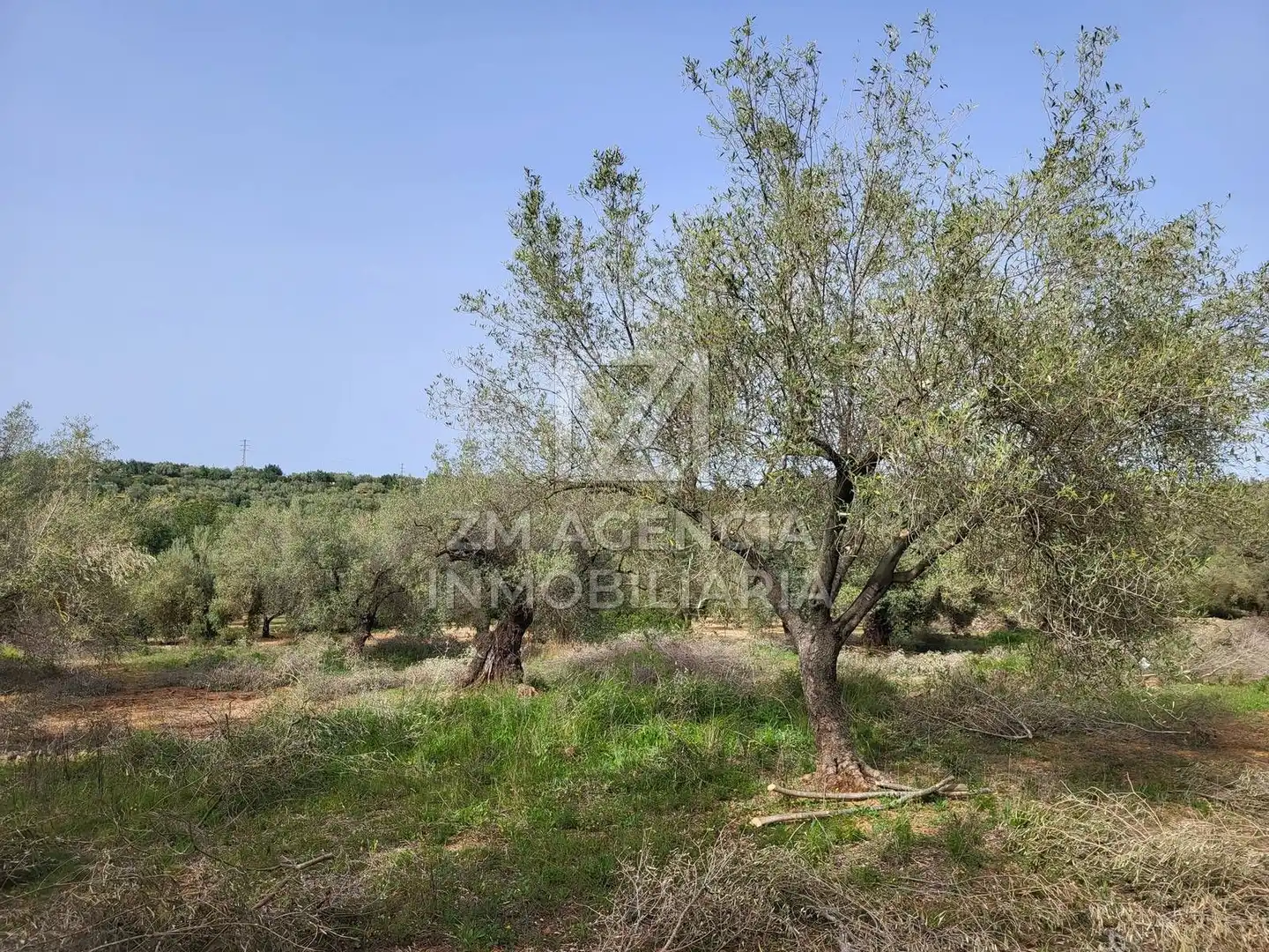 Terreno rustico in vendita a Corral de la Culla, imagen 13