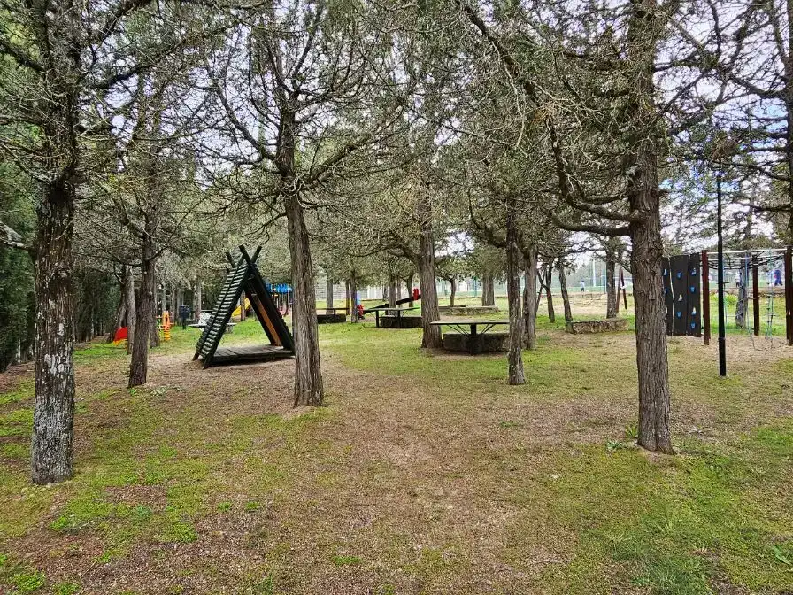 Jardí de Casa o xalet en venda en Duruelo amb Piscina