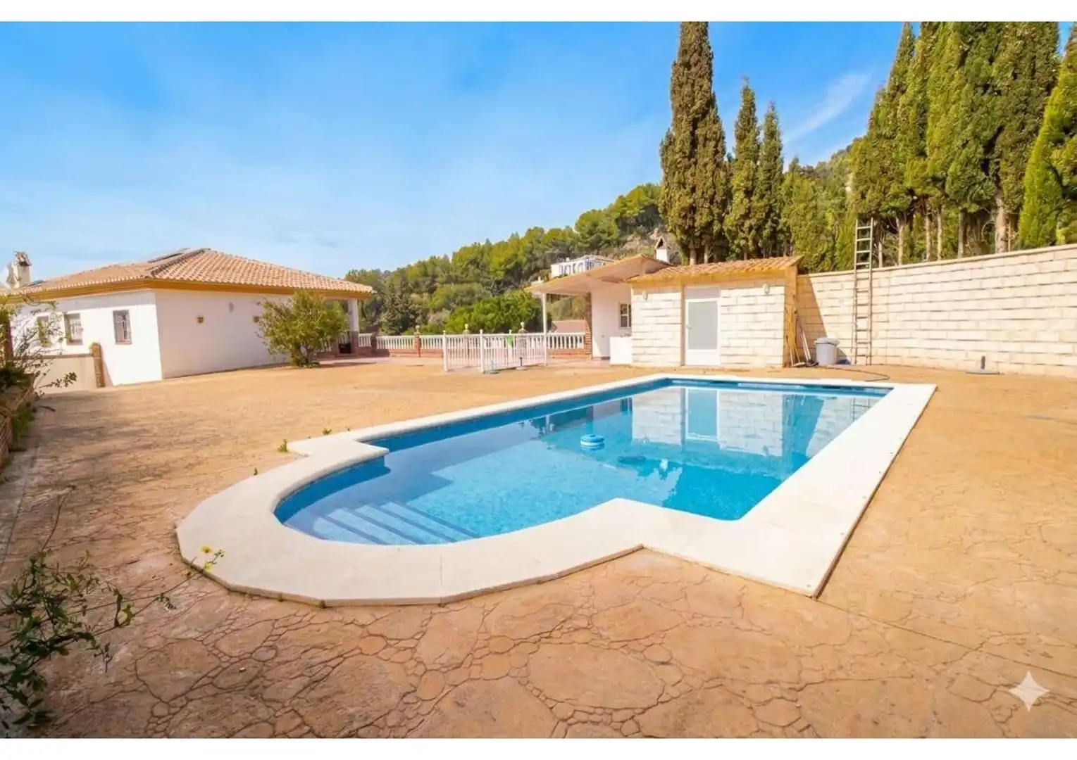 Piscina de Casa o chalet en venta en Cómpeta
