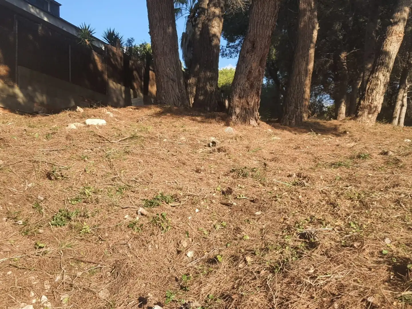 Grundstücke und Bauplätze zum Verkauf in Calafell Park, imagen 3