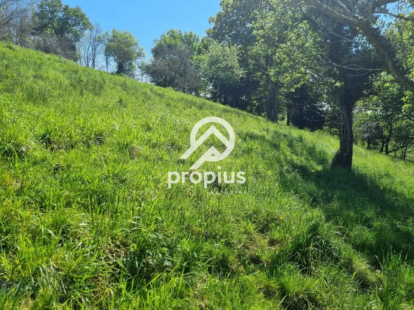 Terreno residencial en venta en EL COLLADO DE SANTO TOMÁS, imagen 8