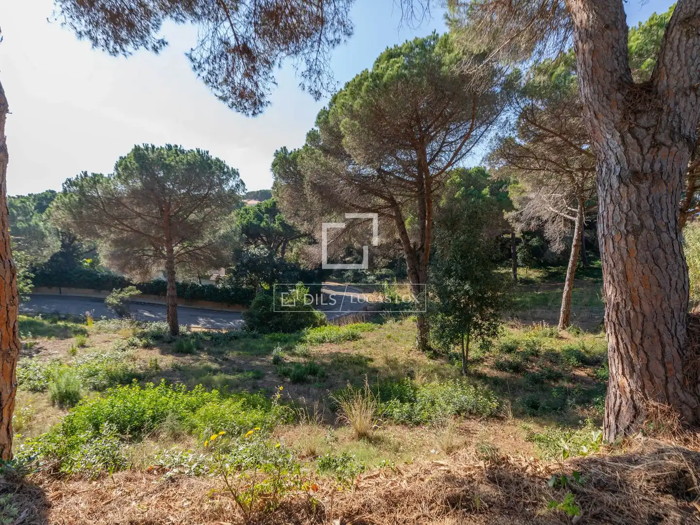 Terreny rústic en venda a Montgoda, imagen 4