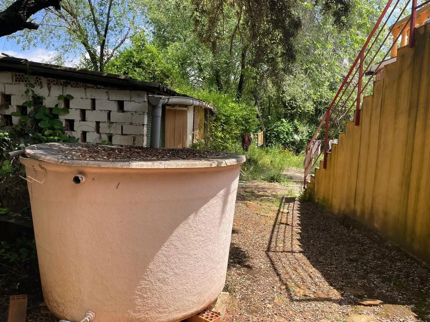 Jardí de Finca rústica en venda en Carrión de Calatrava amb Calefacció, Terrassa i Traster