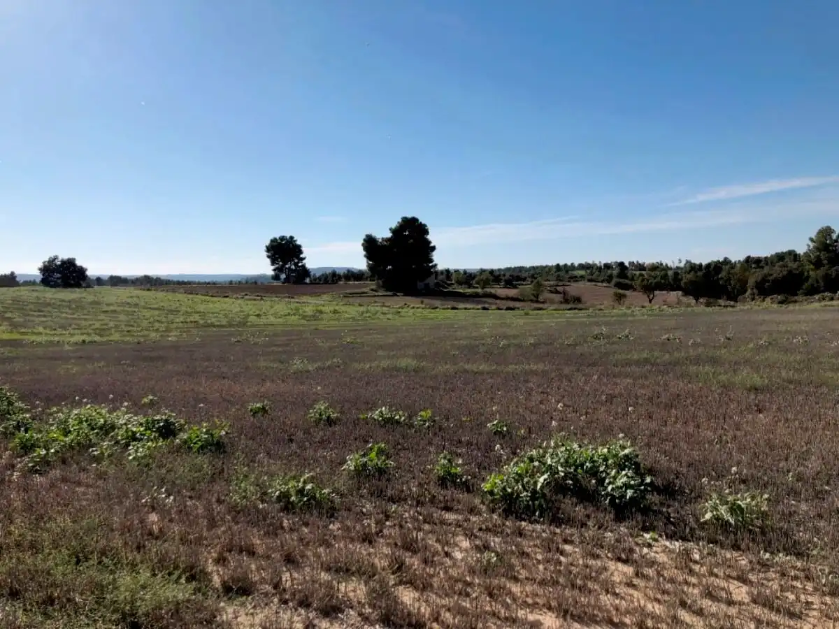 Casa rústica en venda a Torre del Compte, imagen 10