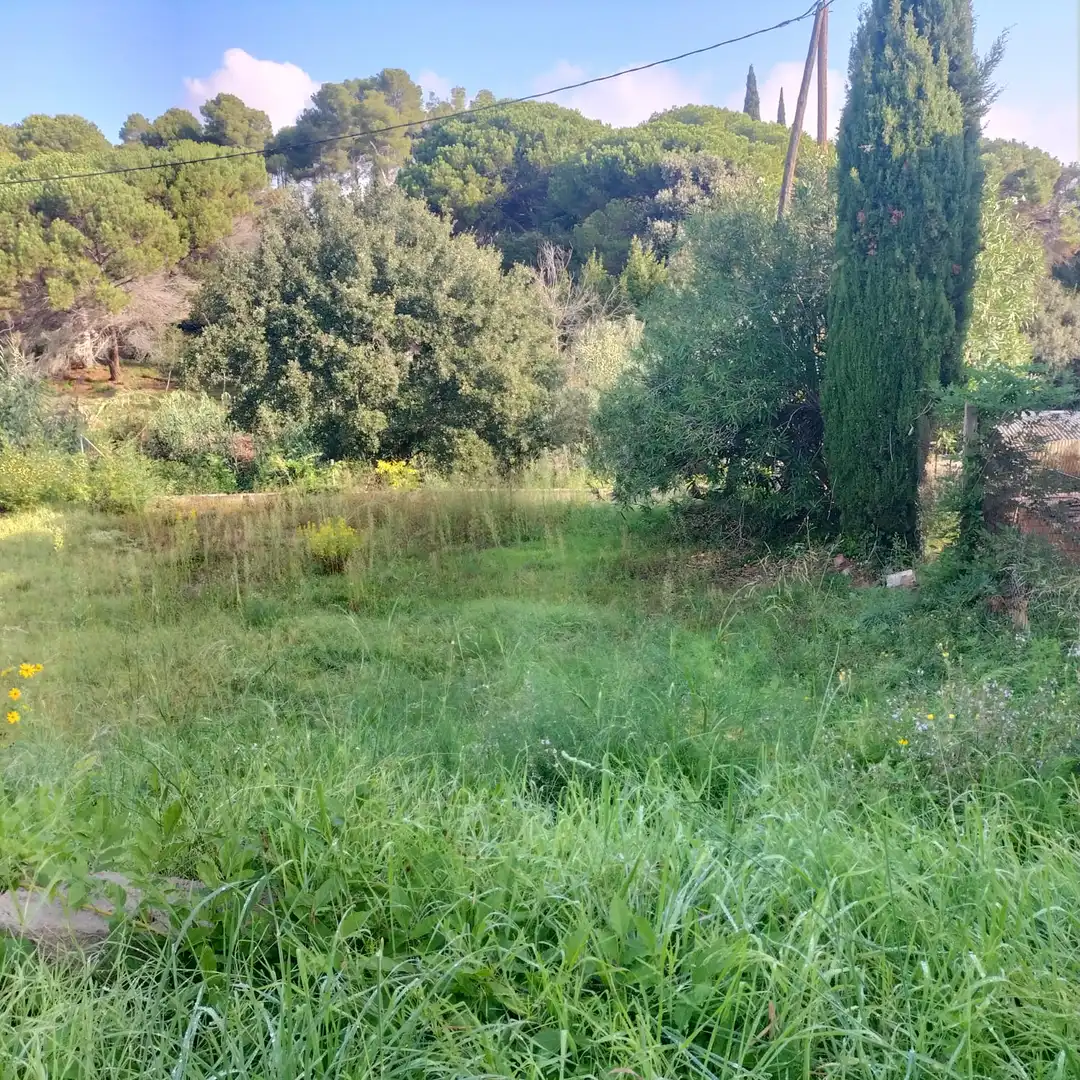 Residential land for sale in Carretera Sagrera 28, imagen 8