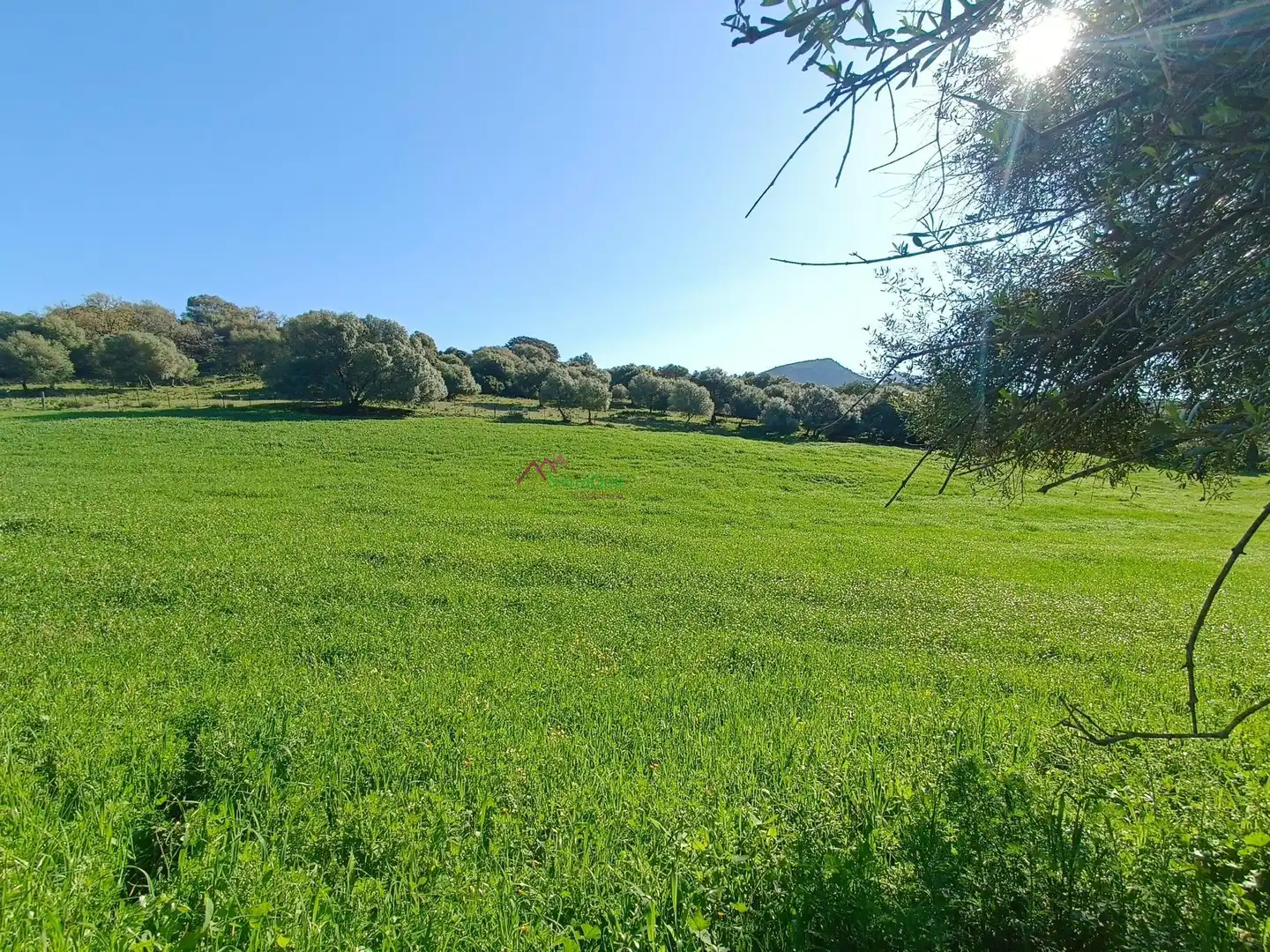 Residencial en venda en El Bosque