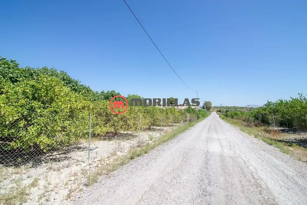 Lands and plots for sale in Carretera de Abanilla 25, imagen 2