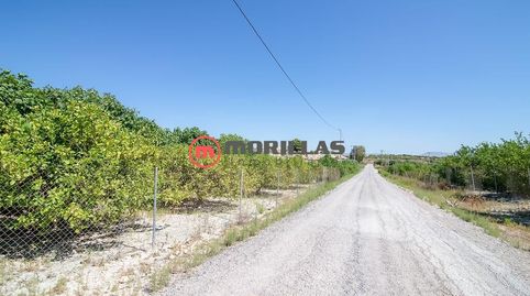 Finca de Regadío con Construcciones, immagine 2