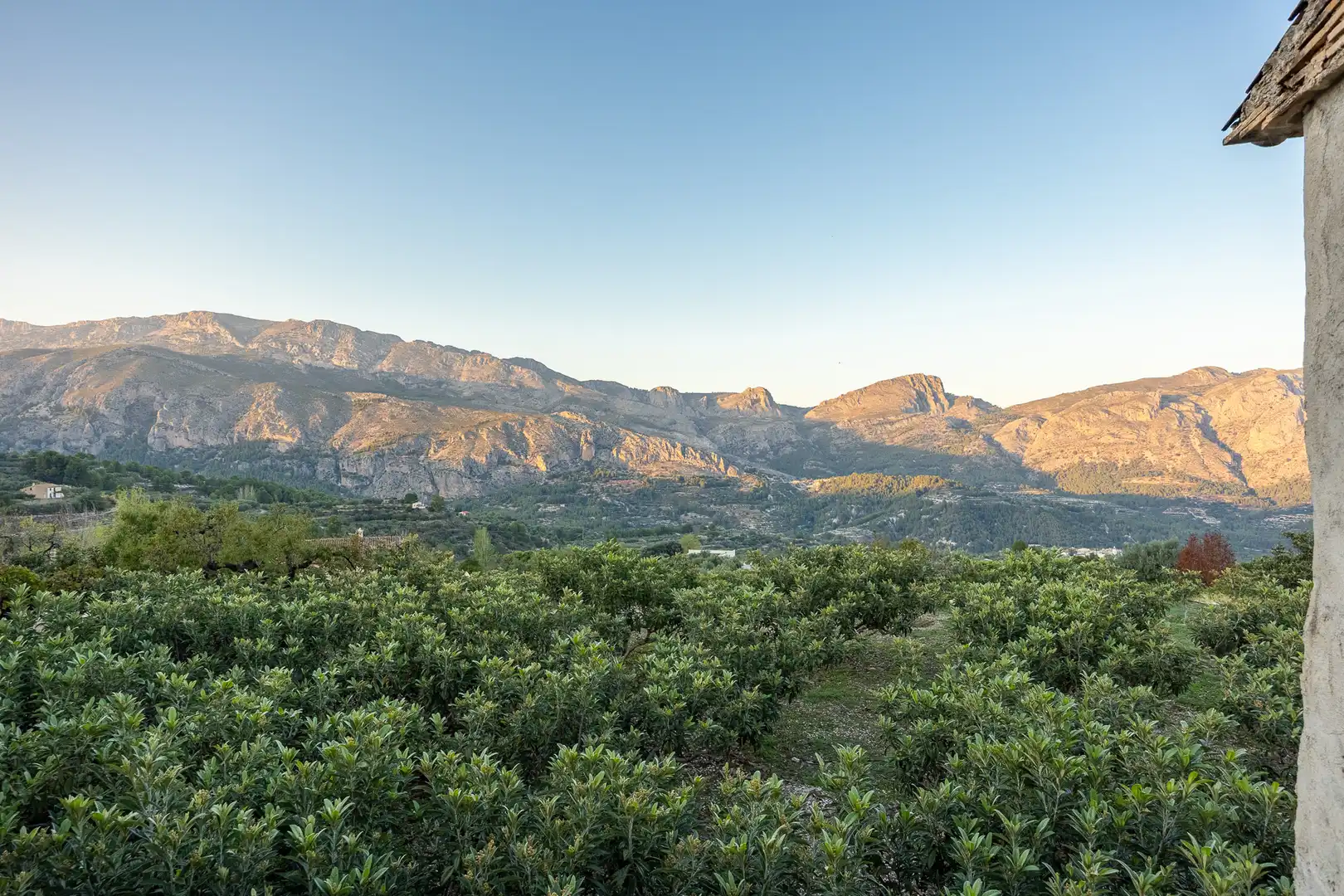 Casa o xalet en venda a Benifato