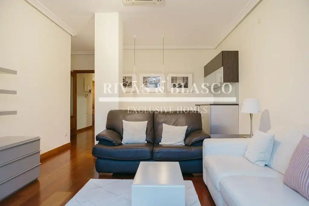 Sala d'estar de Apartament de lloguer en Donostia - San Sebastián  amb Aire condicionat, Calefacció i Moblat