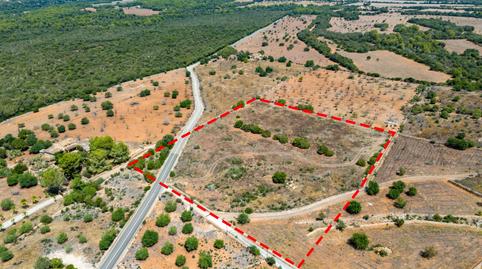 Photo 2 of Residential for sale in Son Serra de Marina, Santa Margalida