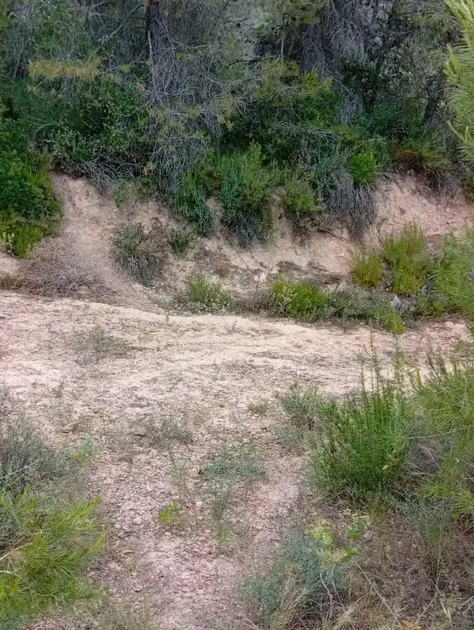 Piso en venta en Corbera d'Ebre, imagen 13