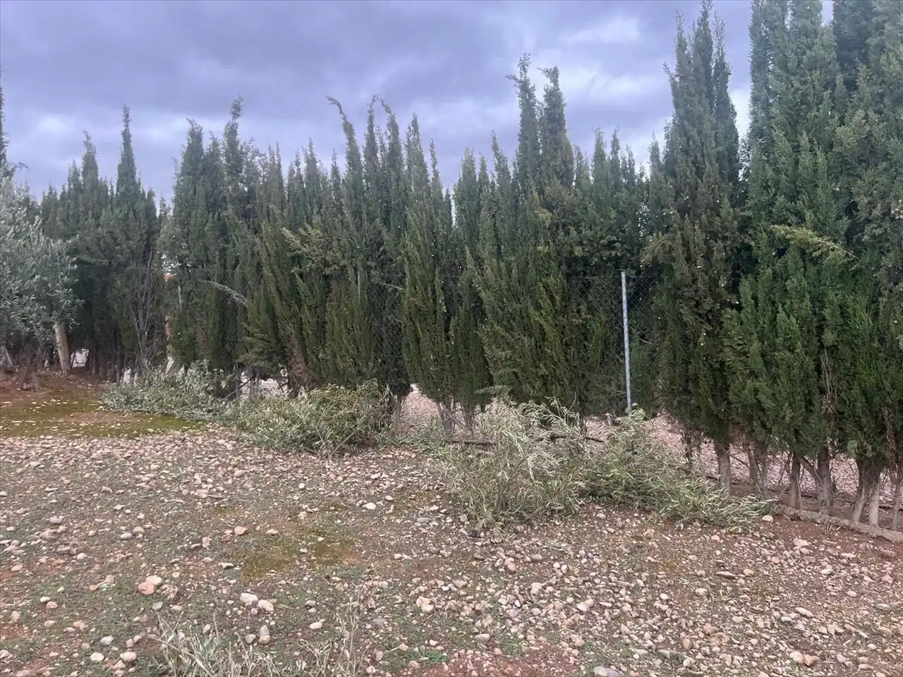 Casa en venta en Cerro Molina, imagen 3