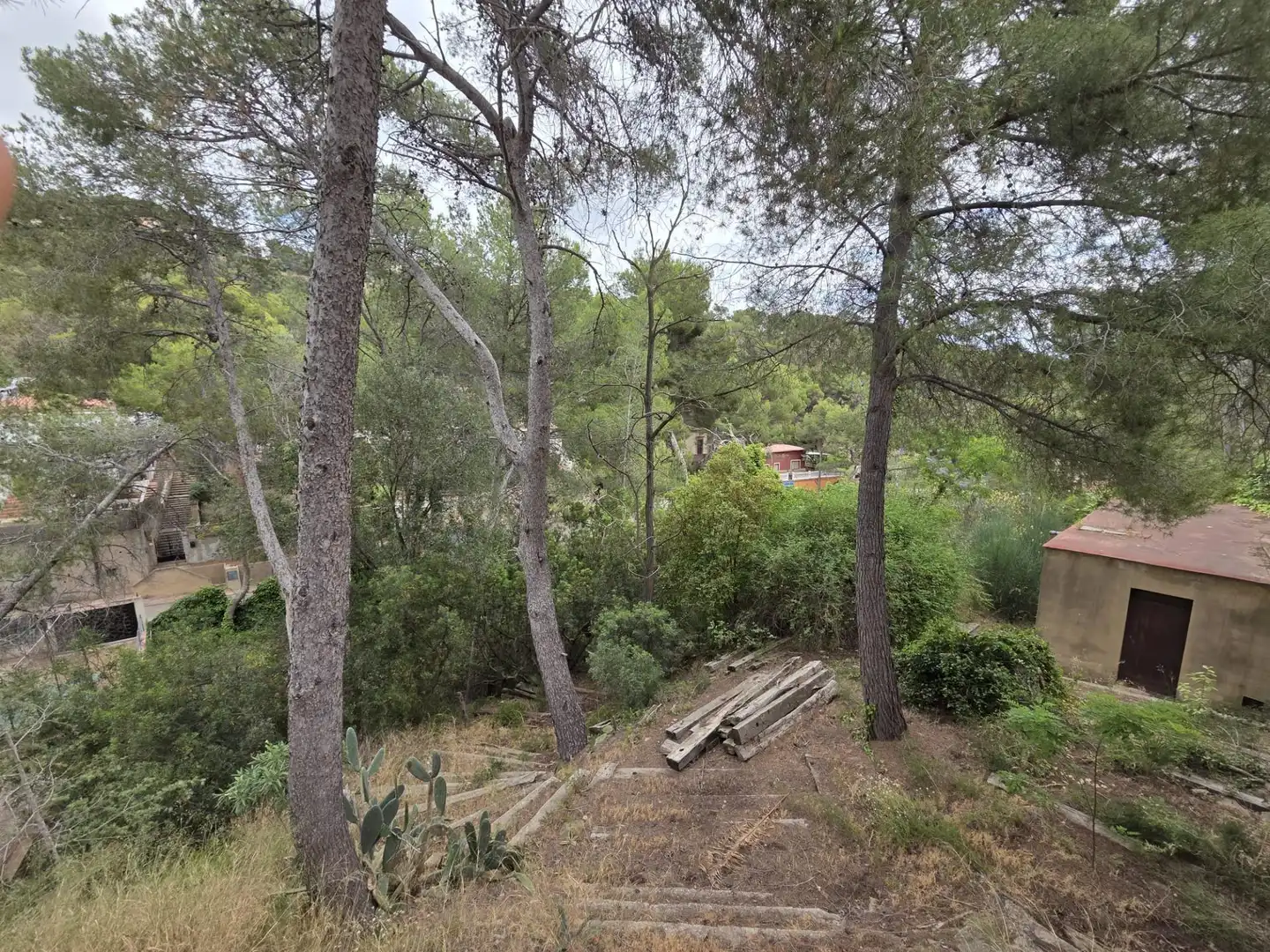 Terrenos y solares en venta en Monteamor - La Carrasca - El Peucal, imagen 3