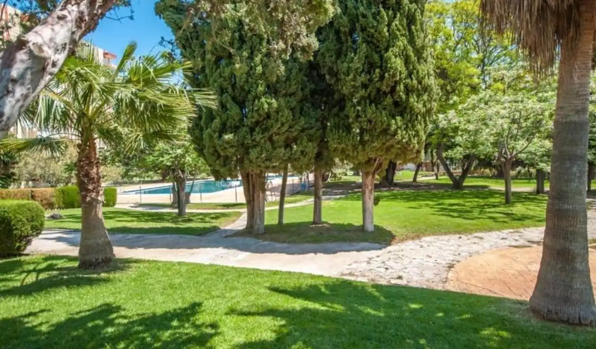 Vivienda con piscina en venta en Avenida Avenida Gamonal, imagen 22