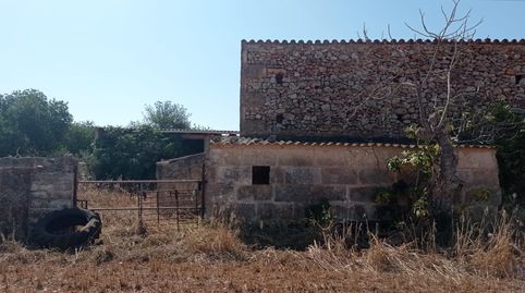 FINCA RÚSTICA CON LICENCIA EN TRÁMITE, immagine 4