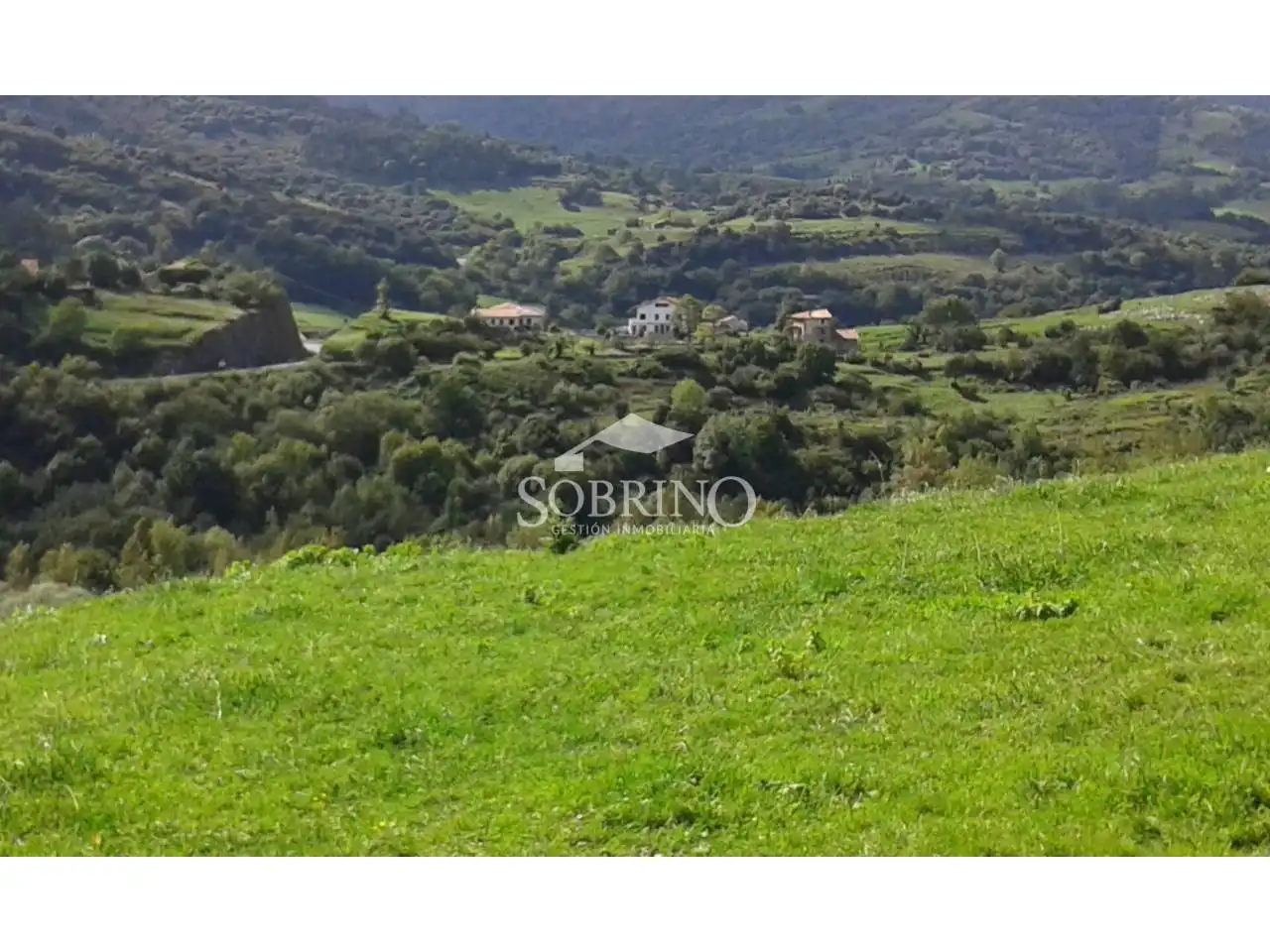 Residencial en venta en Peñamellera Baja