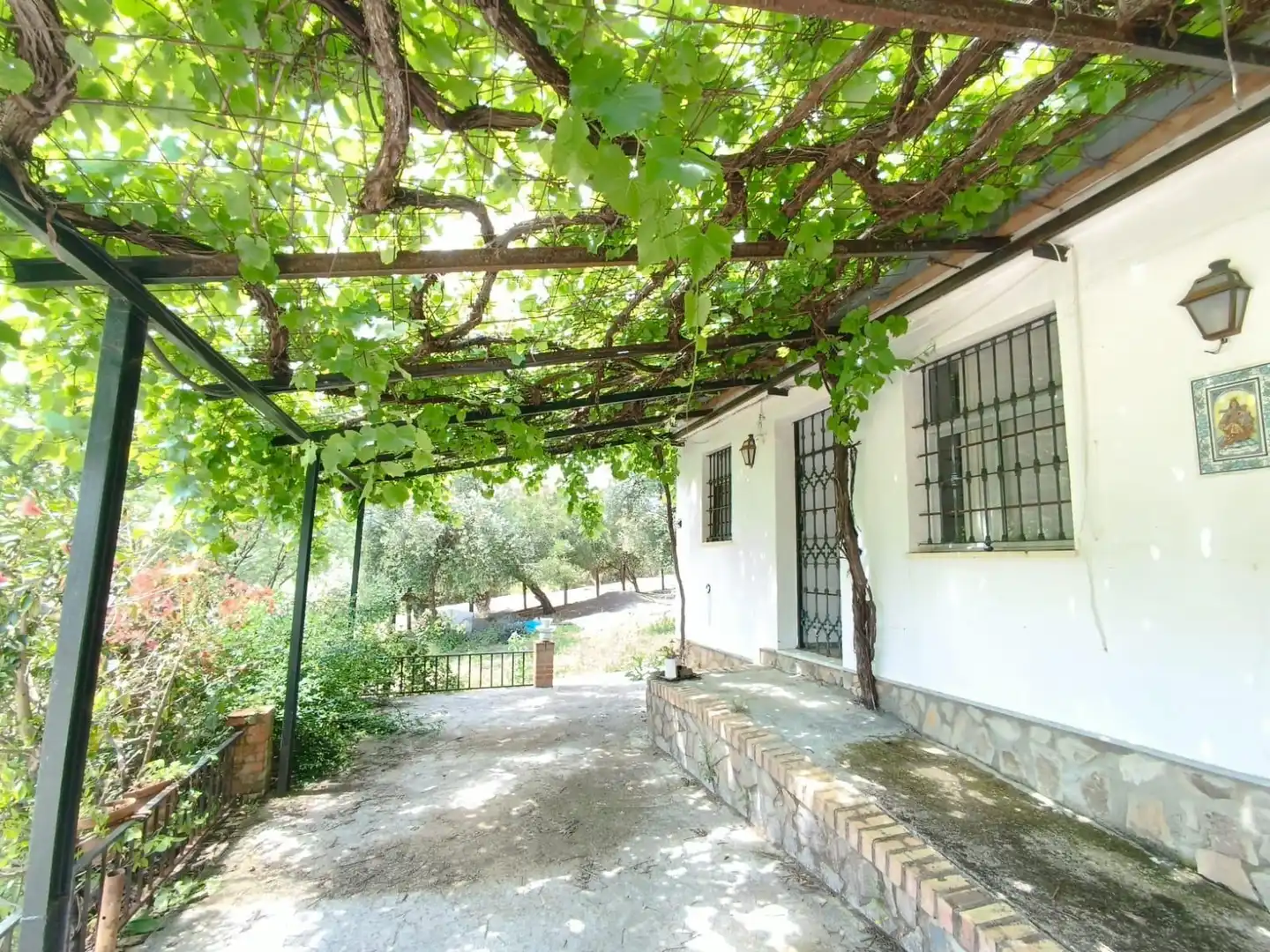 Garden of Residential for sale in Prado del Rey