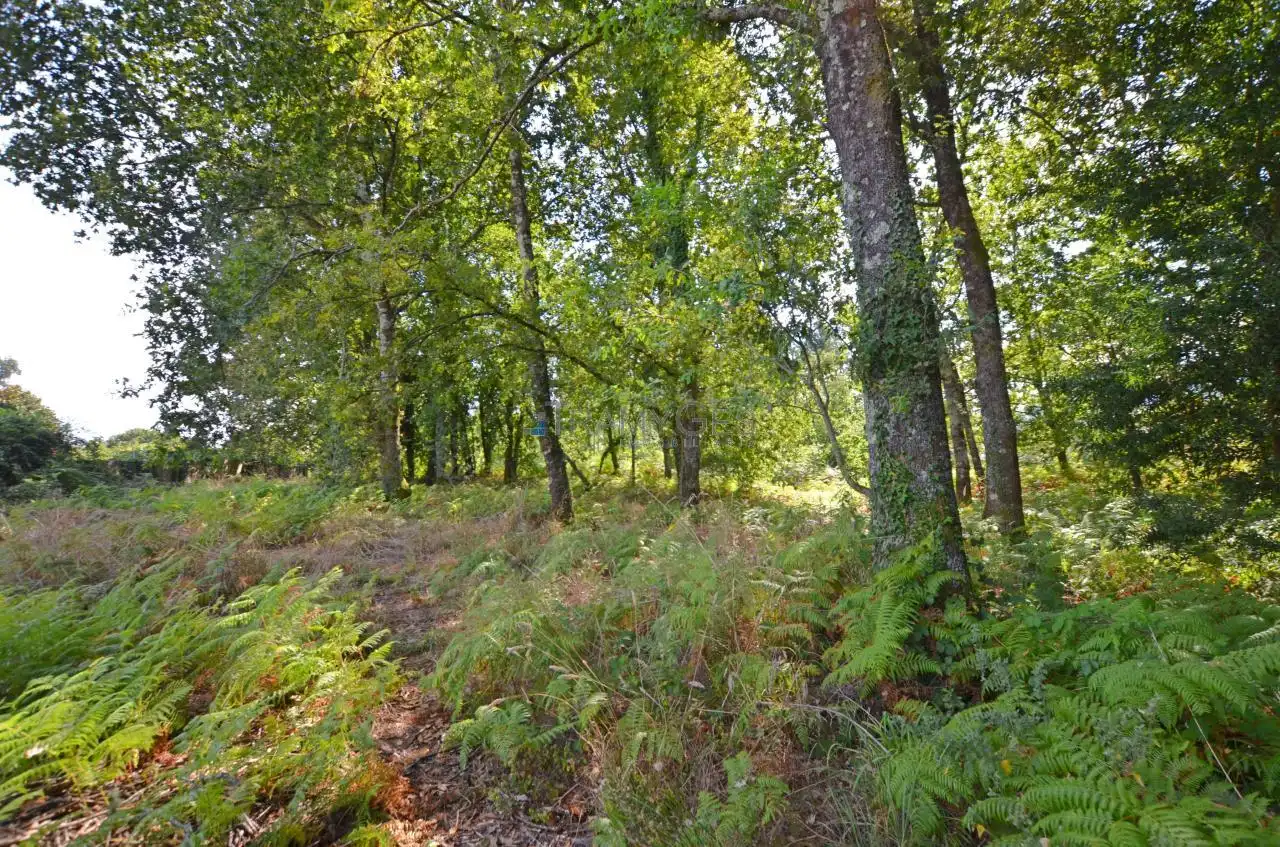 Wohnbaugrundstück zum Verkauf in LUGAR A COSTA, imagen 8