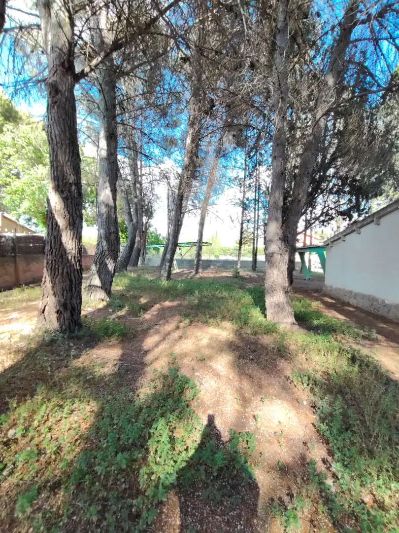 Xalet amb piscina en venda a Pedanías - Extrarradio, imagen 9