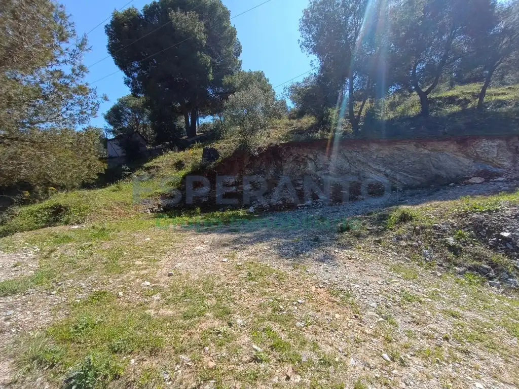 Terreno rustico in vendita a Diseminados Diseminados, imagen 10