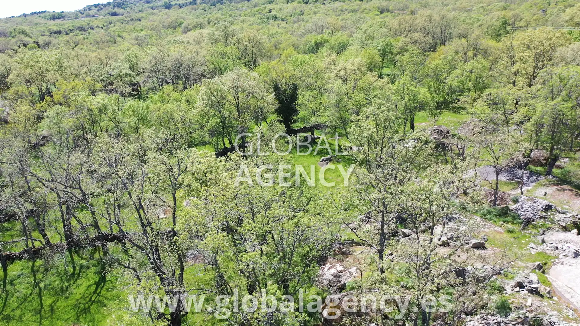 Terreny en venda en El Escorial