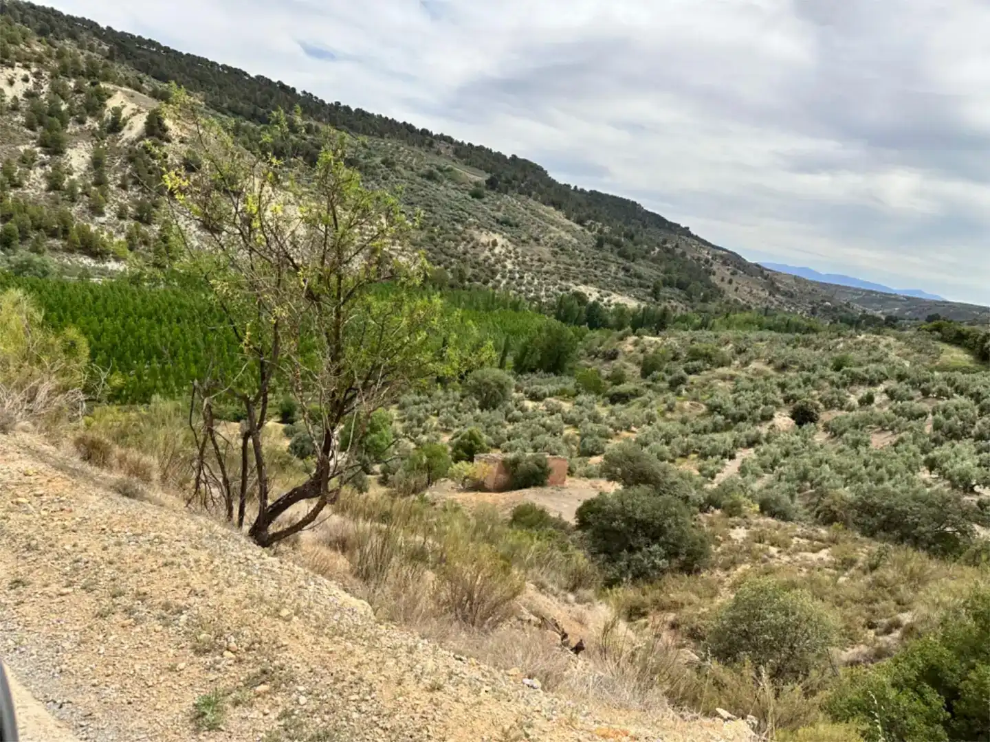 Dúplex en venda en Pozo Alcón amb Jardí privat, Traster i Moblat