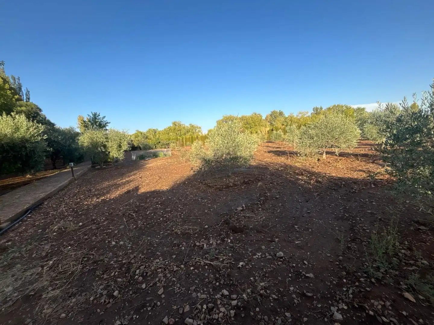 Residencial en venda a Malagón