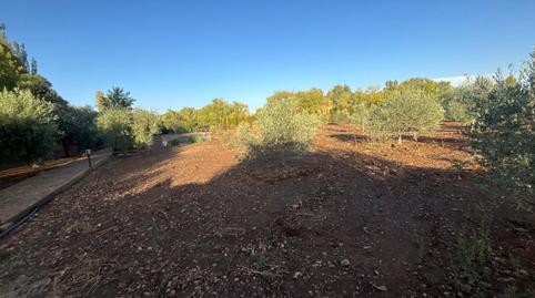 Foto 4 de Residencial en venda a Malagón, Ciudad Real