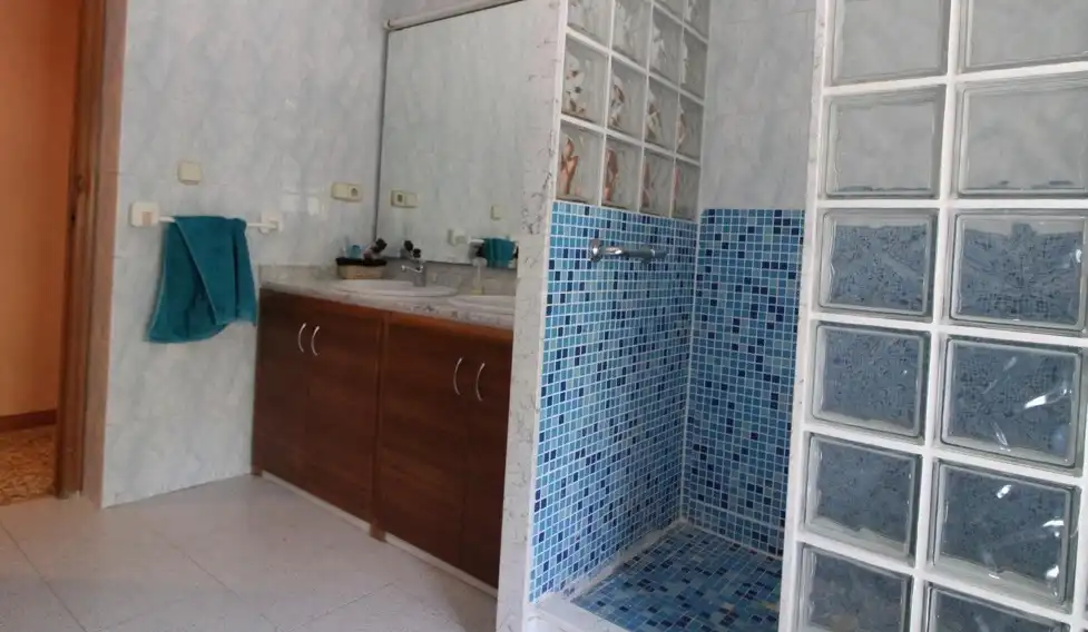 Baño de Casa o chalet en venta en Elche / Elx con Jardín privado