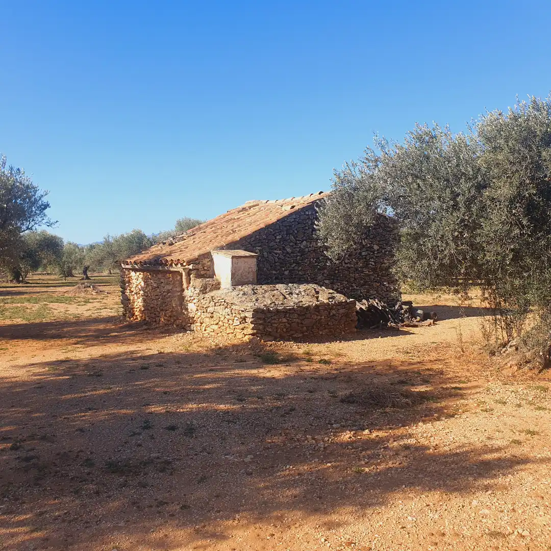 Terrain rustique à vendre à Tivenys, imagen 6