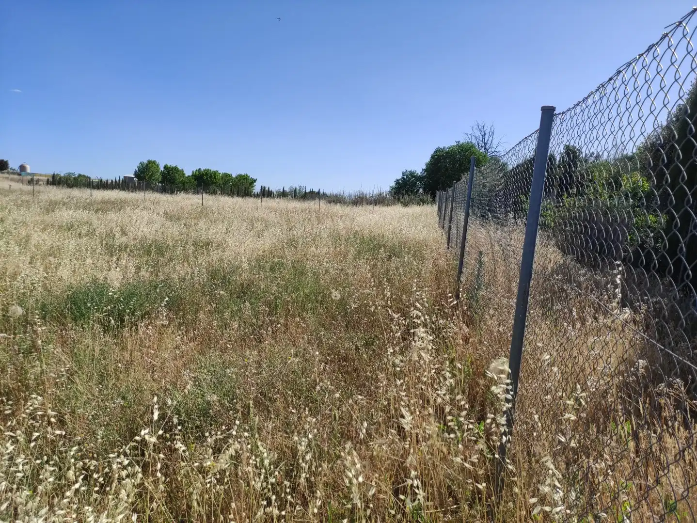 Terreni e lotti in vendita a Área Rural-Valverde-Las Casas, imagen 7