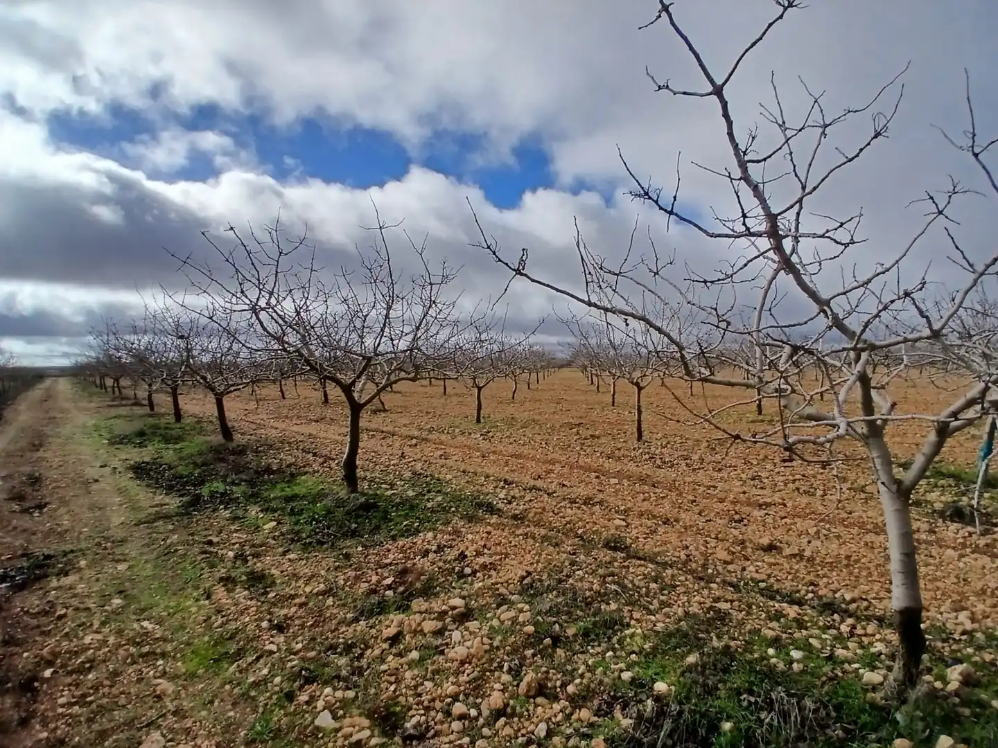 Rural land for sale in Carretera Solana, imagen 27