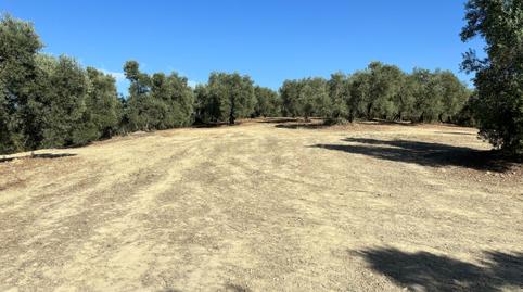 Foto 4 de Terreno en venta en Polígono, 1, Villanueva del Trabuco, Málaga